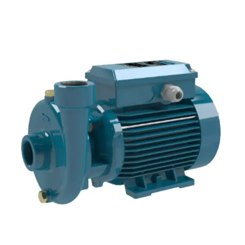 Pompa elettrica CM 22/1e 230 v - 110 l/min - 450 w